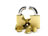 Password Recovery